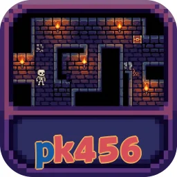 pk456